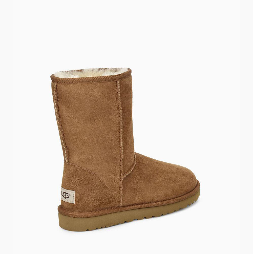 UGG Klassische Kurze Stiefel Herren Braun Schweiz | 0Q8DWLSR