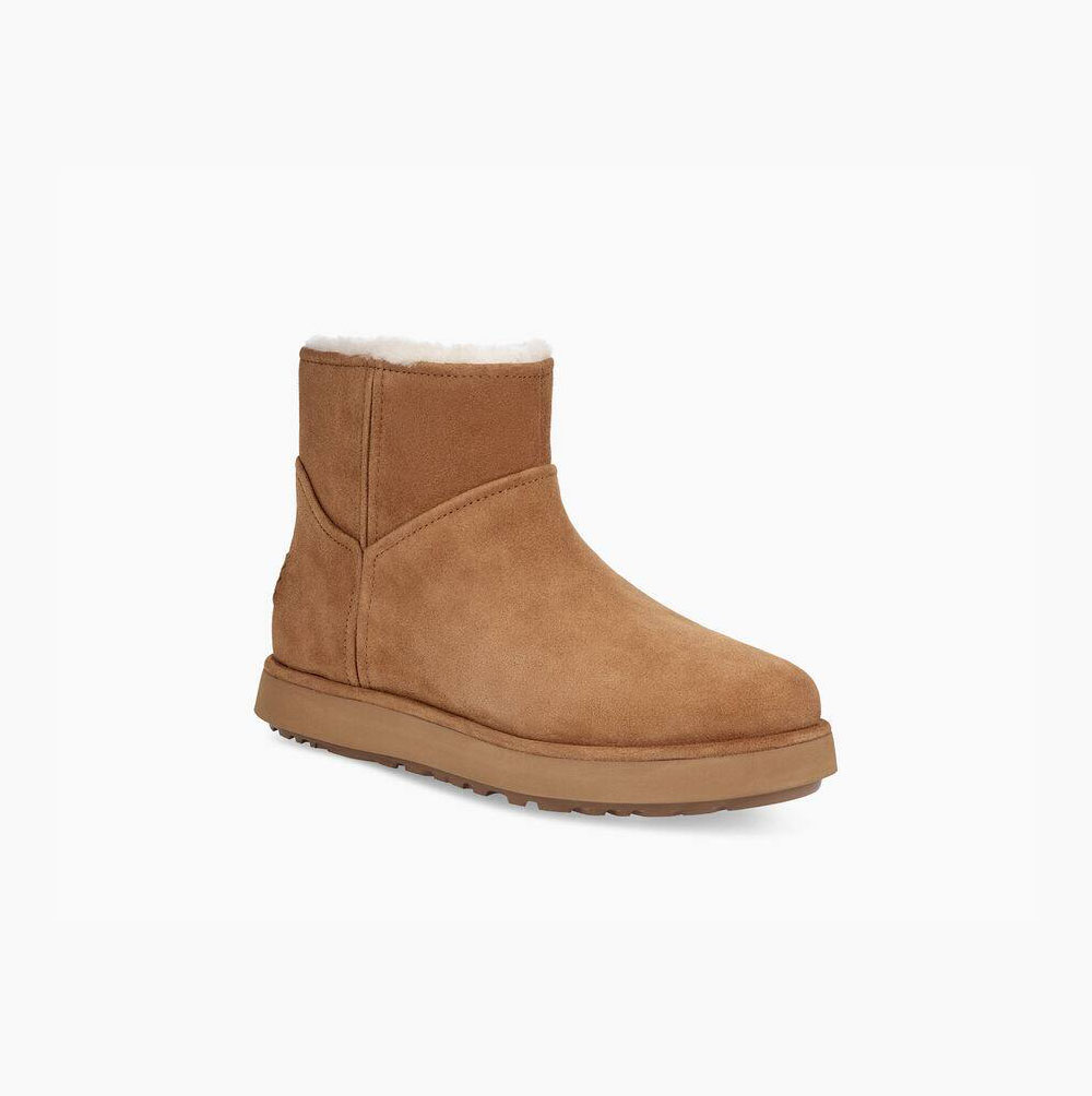 UGG Klassische Mini BLVD Classic Boots Damen Khaki Schweiz | GTMJHMY7