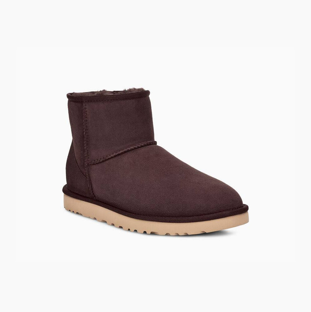 UGG Klassische Mini Classic Boots Herren Braun Schweiz | QTYO0HUM