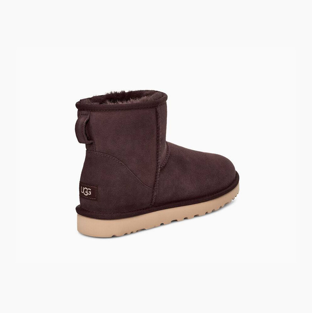 UGG Klassische Mini Classic Boots Herren Braun Schweiz | QTYO0HUM