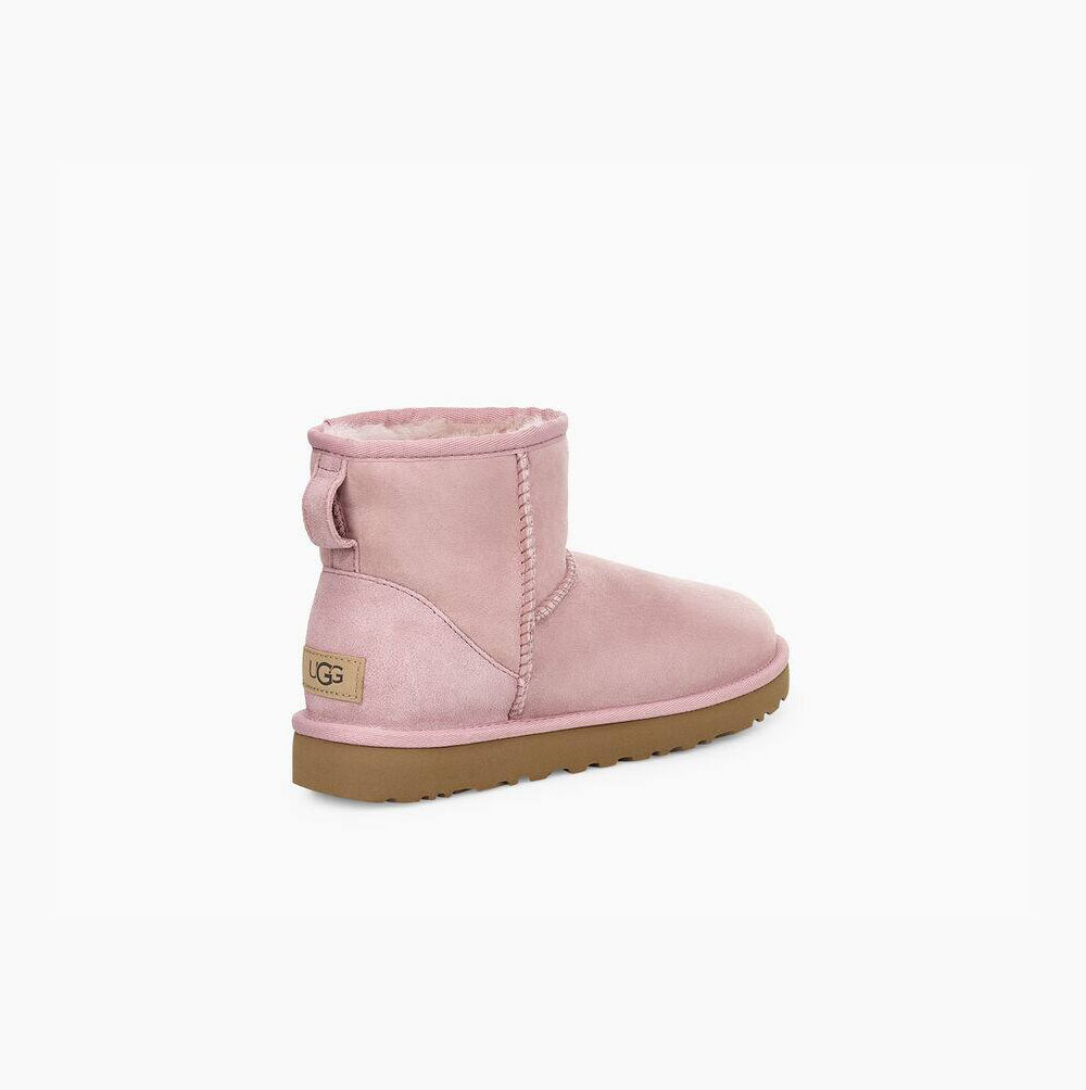 UGG Klassische Mini II Classic Boots Damen Rosa Schweiz | 0MPW0TEE