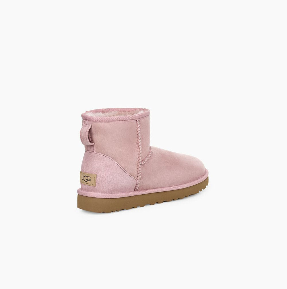 UGG Klassische Mini II Classic Boots Damen Rosa Schweiz | 5BCDJAC8