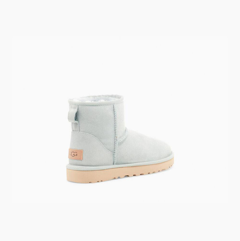 UGG Klassische Mini II Classic Boots Damen Grau Schweiz | AVR0KIY6