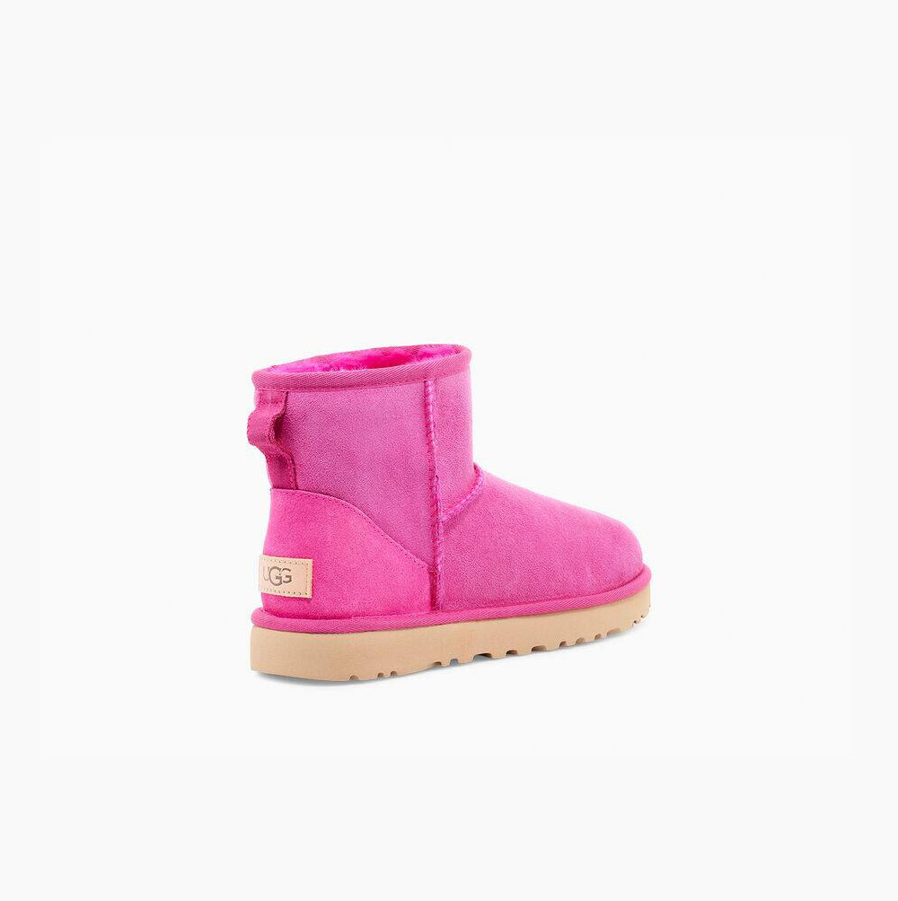 UGG Klassische Mini II Classic Boots Damen Rosa Schweiz | WKA1F5N7