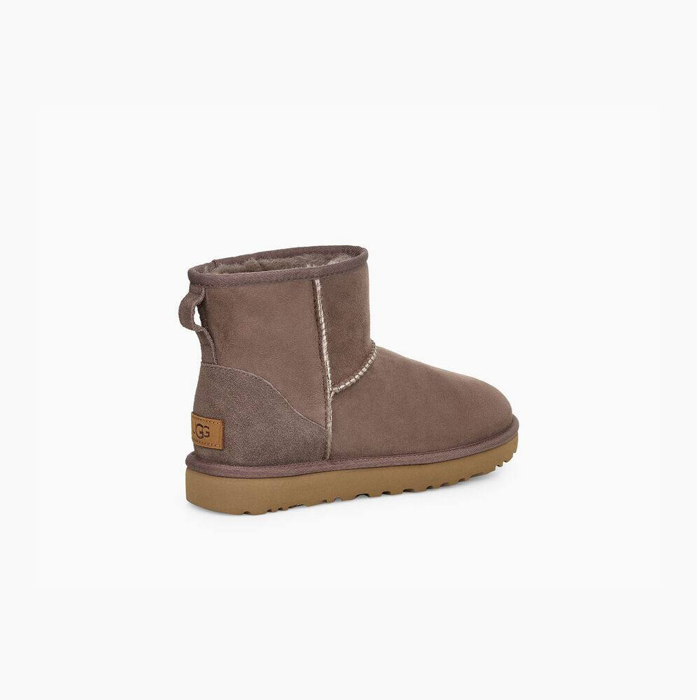 UGG Klassische Mini II Classic Boots Damen Braun Schweiz | XCE74DV5