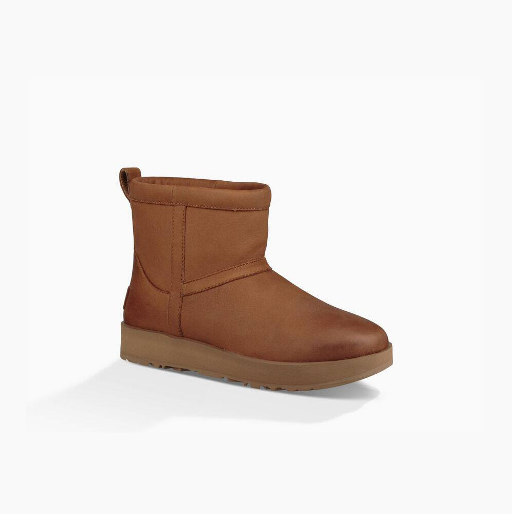 UGG Klassische Mini Leder Wasserfeste Stiefel Damen Braun Schweiz | AVBHC2TT