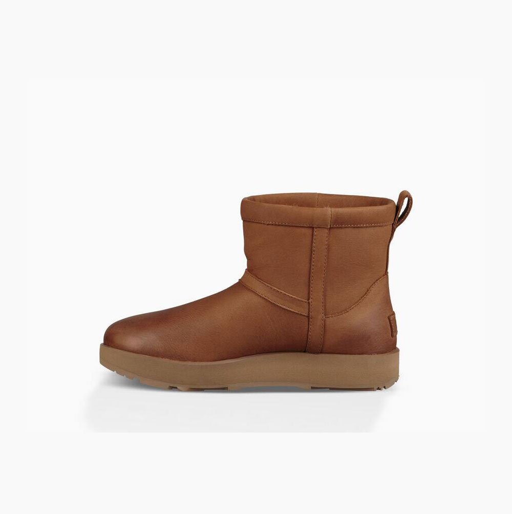 UGG Klassische Mini Leder Wasserfeste Stiefel Damen Braun Schweiz | AVBHC2TT