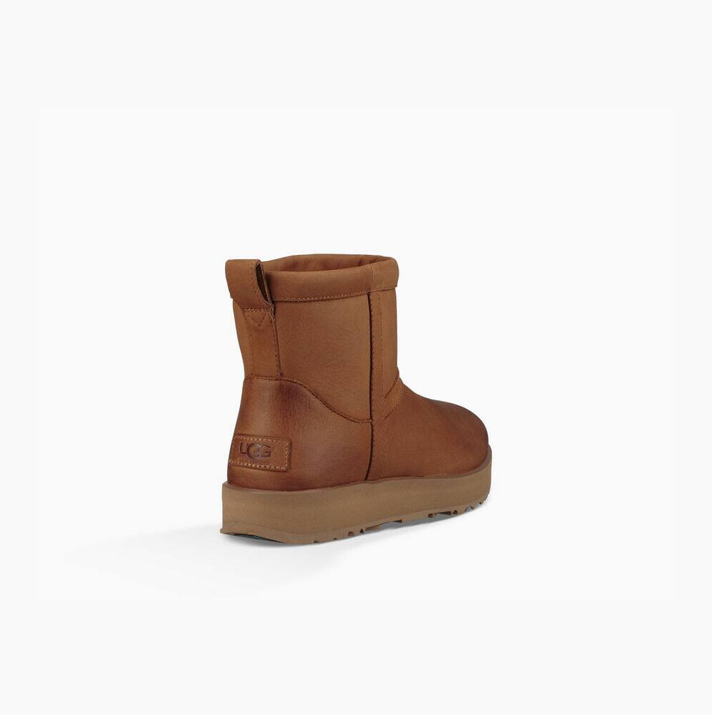 UGG Klassische Mini Leder Wasserfeste Stiefel Damen Braun Schweiz | AVBHC2TT