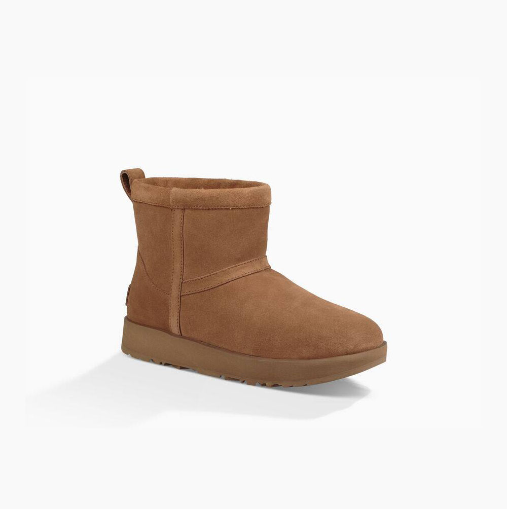 UGG Klassische Mini Weather Classic Boots Damen Braun Schweiz | 3XVD04IM