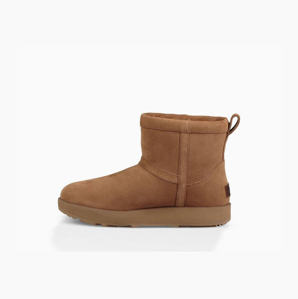 UGG Klassische Mini Weather Classic Boots Damen Braun Schweiz | 3XVD04IM