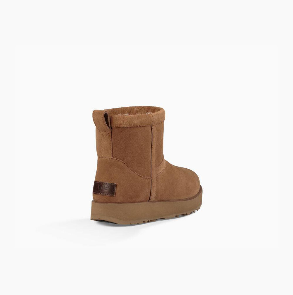 UGG Klassische Mini Weather Classic Boots Damen Braun Schweiz | 3XVD04IM