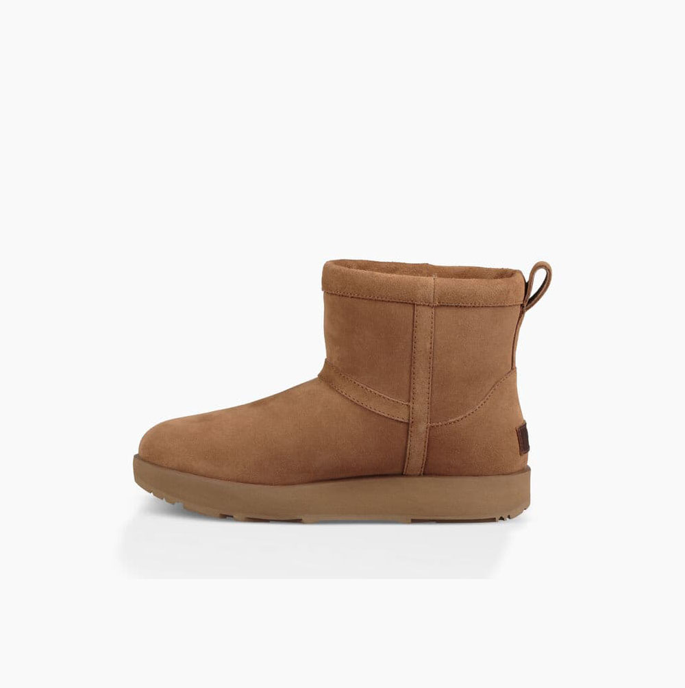 UGG Klassische Mini Weather Classic Boots Damen Braun Schweiz | LDNRV510