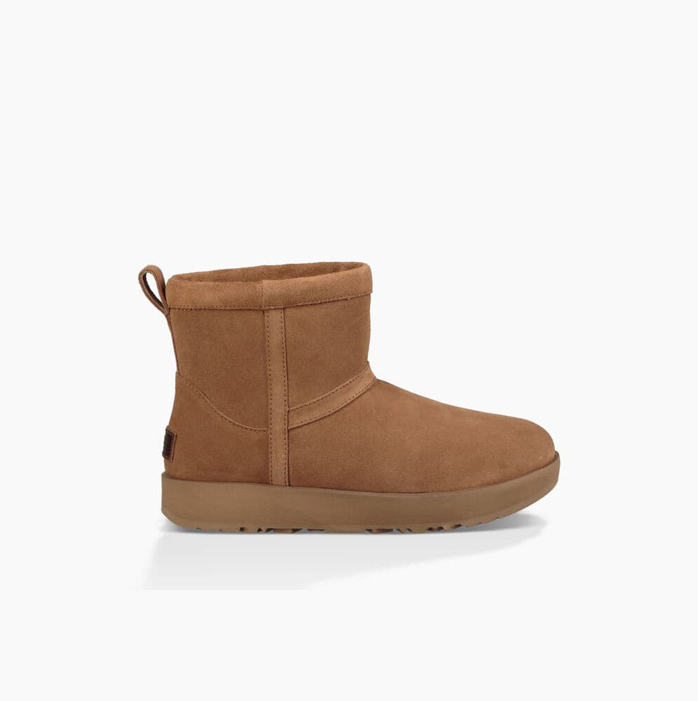 UGG Klassische Mini Weather Classic Boots Damen Braun Schweiz | LDNRV510