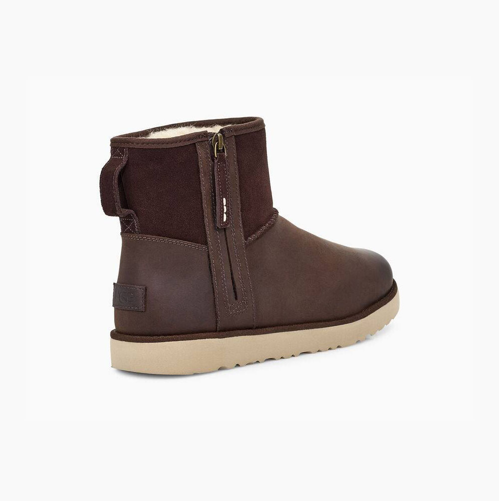 UGG Klassische Mini Zip Classic Boots Herren Braun Schweiz | 1DM0WGU8