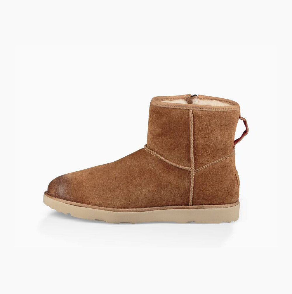 UGG Klassische Mini Zip Weather Classic Boots Herren Braun Schweiz | 0QUI1RNY