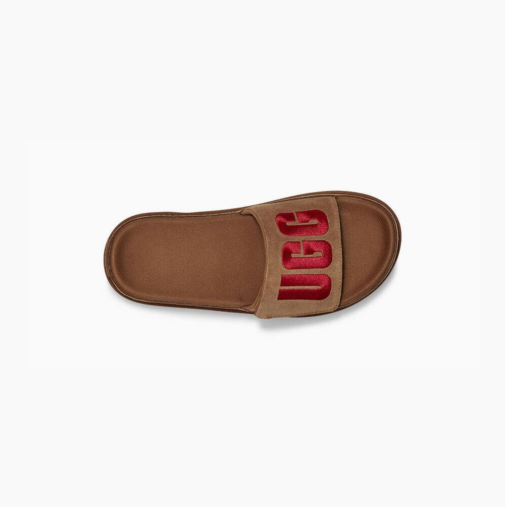 UGG Laton Plattform Badelatschen Badelatschen Damen Braun Schweiz | PSXIJIHS