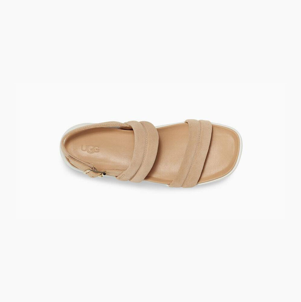 UGG Lynnden Plateau Sandalen Damen Beige Schweiz | DPCDS6KM