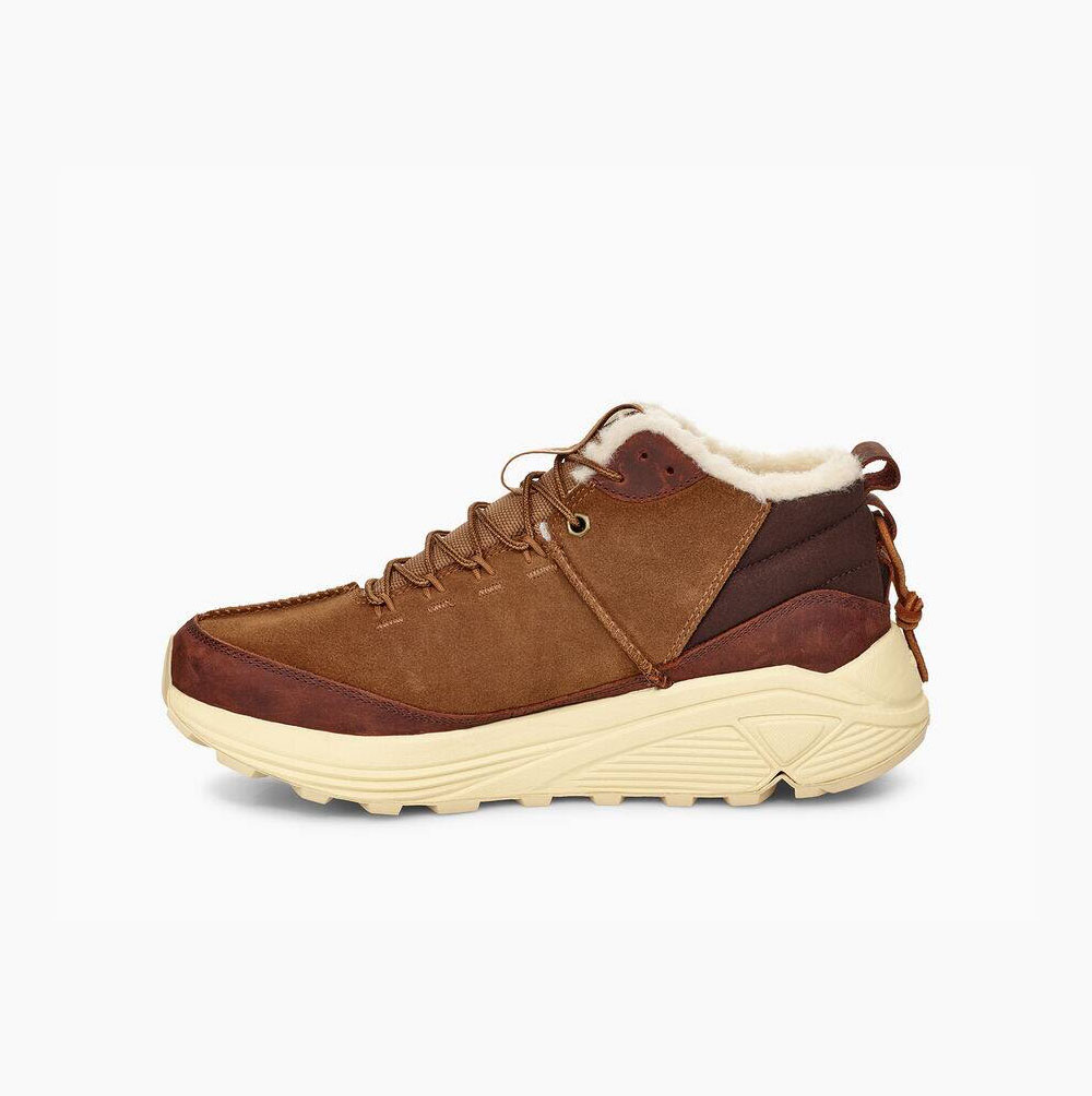 UGG Miwo Trainer High Sneakers Herren Braun Schweiz | QHGHP48R