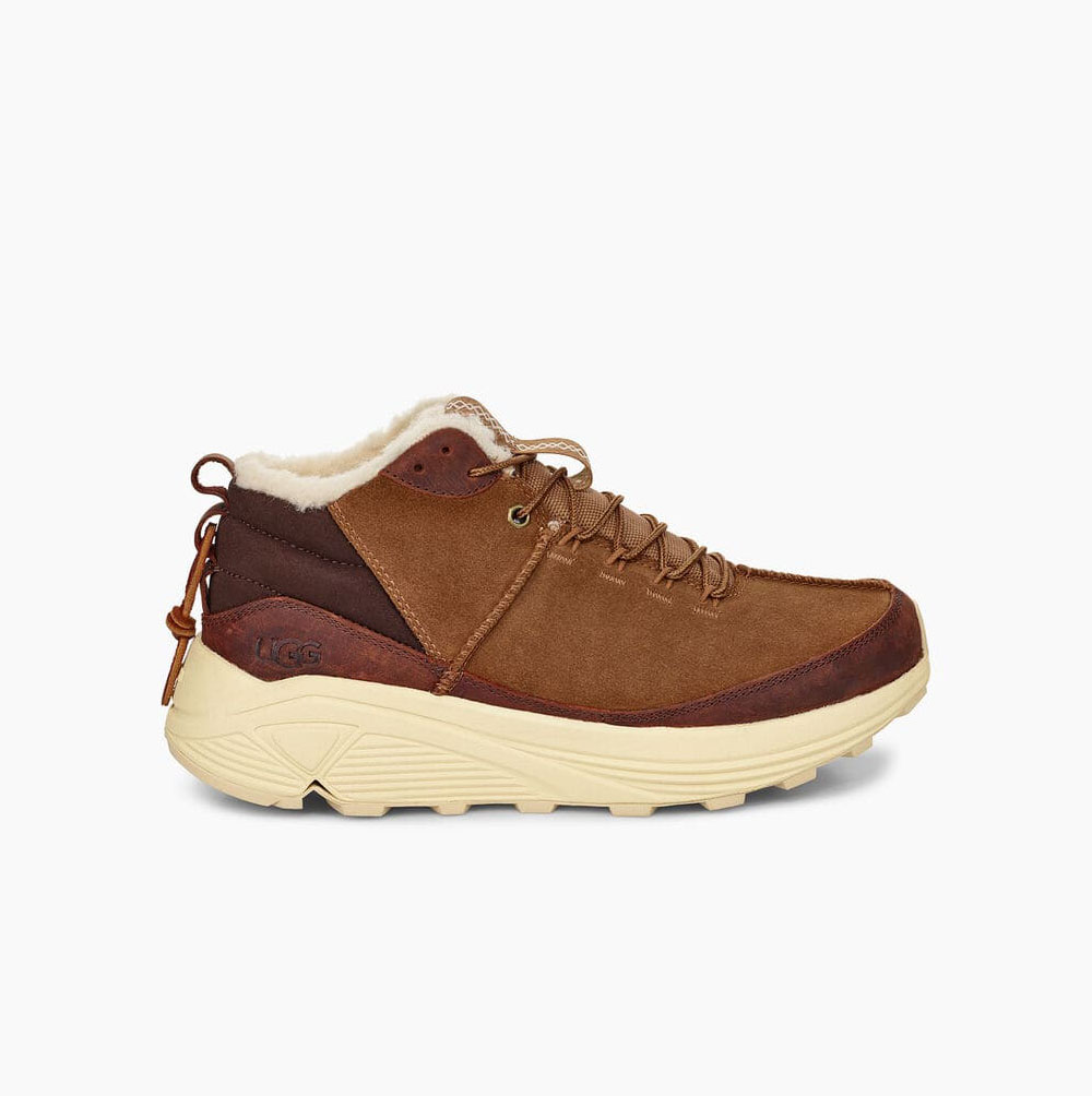 UGG Miwo Trainer High Sneakers Herren Braun Schweiz | QHGHP48R