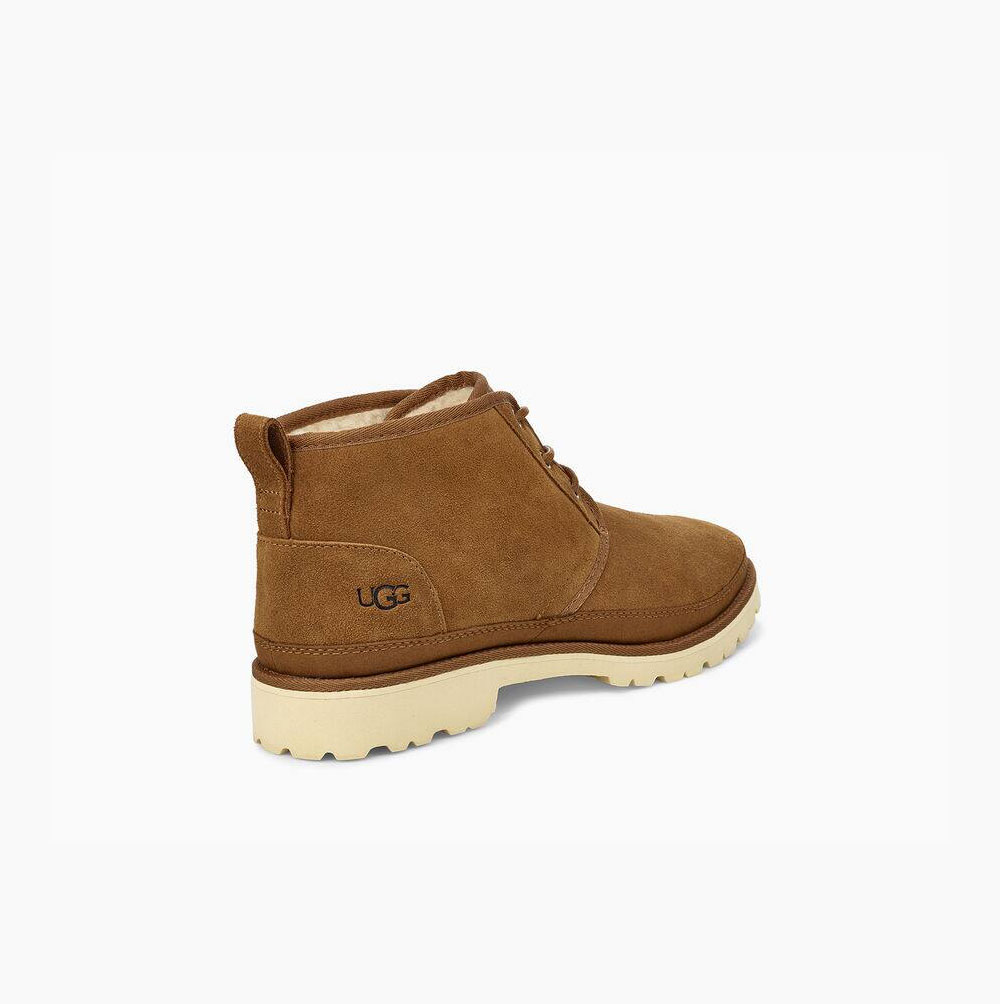 UGG Neuland Wanderstiefel Herren Braun Schweiz | VWA14K2I