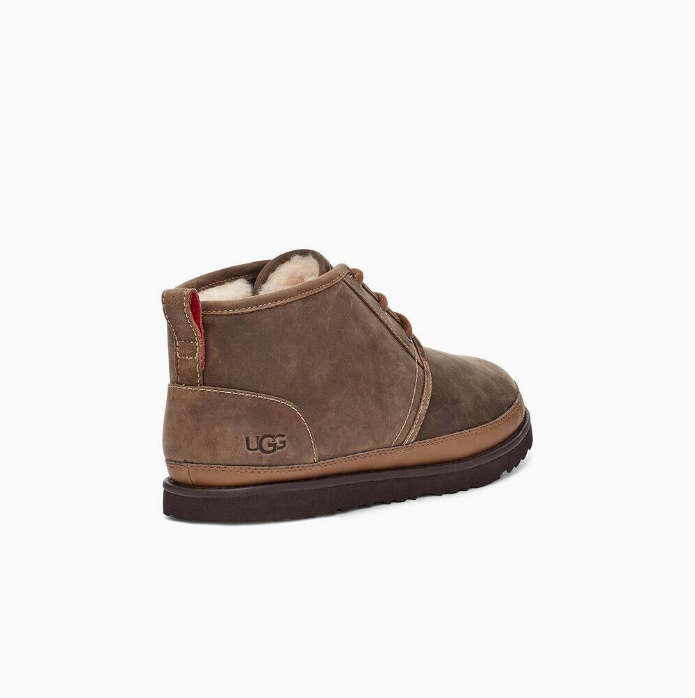 UGG Neumel Weather Stiefeletten Herren Braun Schweiz | 8A82TB1Y