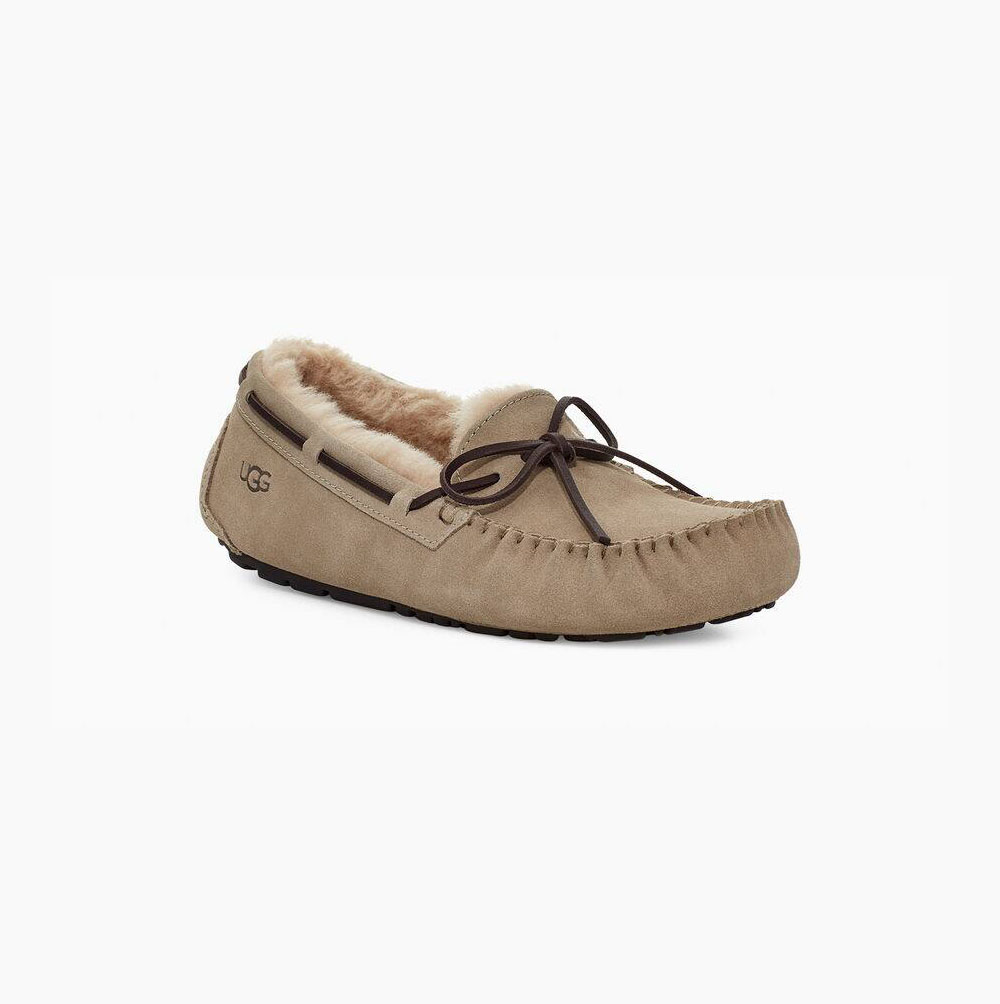 UGG Olsen Loafers Herren Beige Schweiz | B4YHHMK8