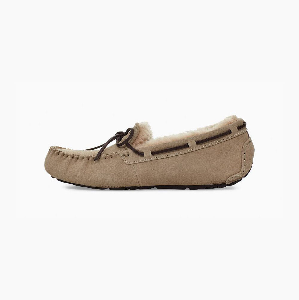 UGG Olsen Loafers Herren Beige Schweiz | B4YHHMK8