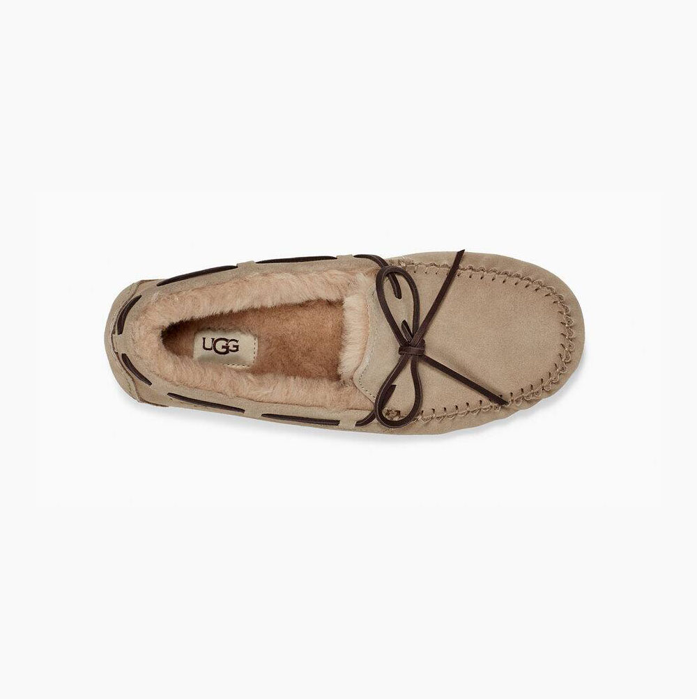 UGG Olsen Loafers Herren Beige Schweiz | B4YHHMK8