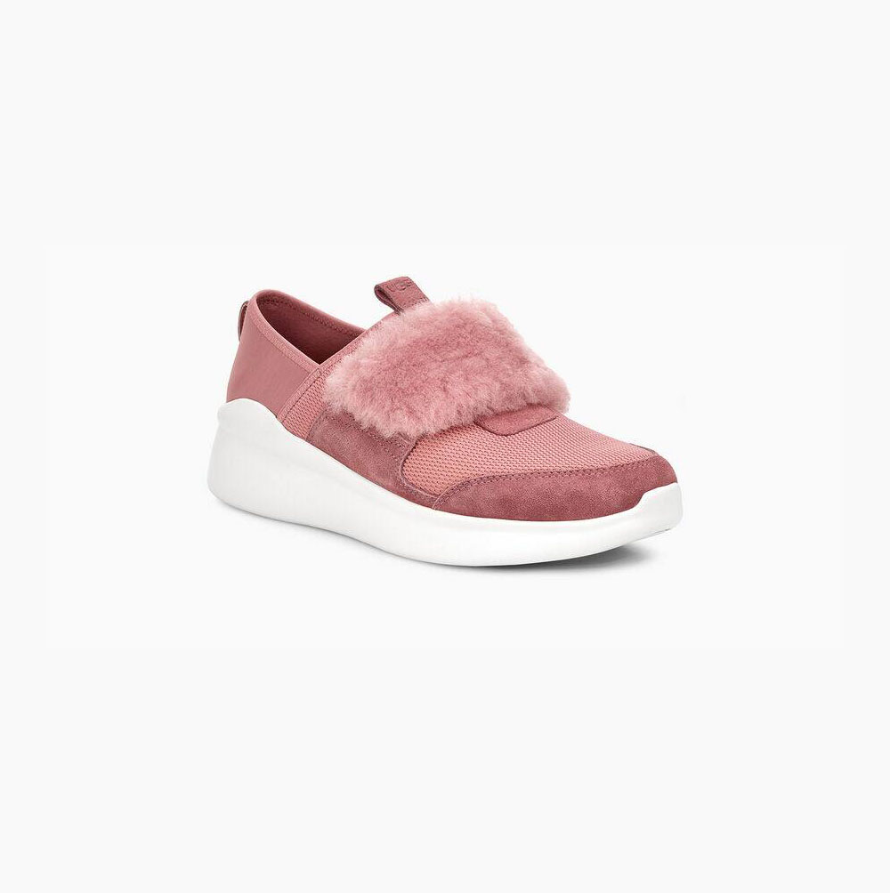 UGG Pico Slip-on-sneakers Damen Rosa Schweiz | Y336XWFO