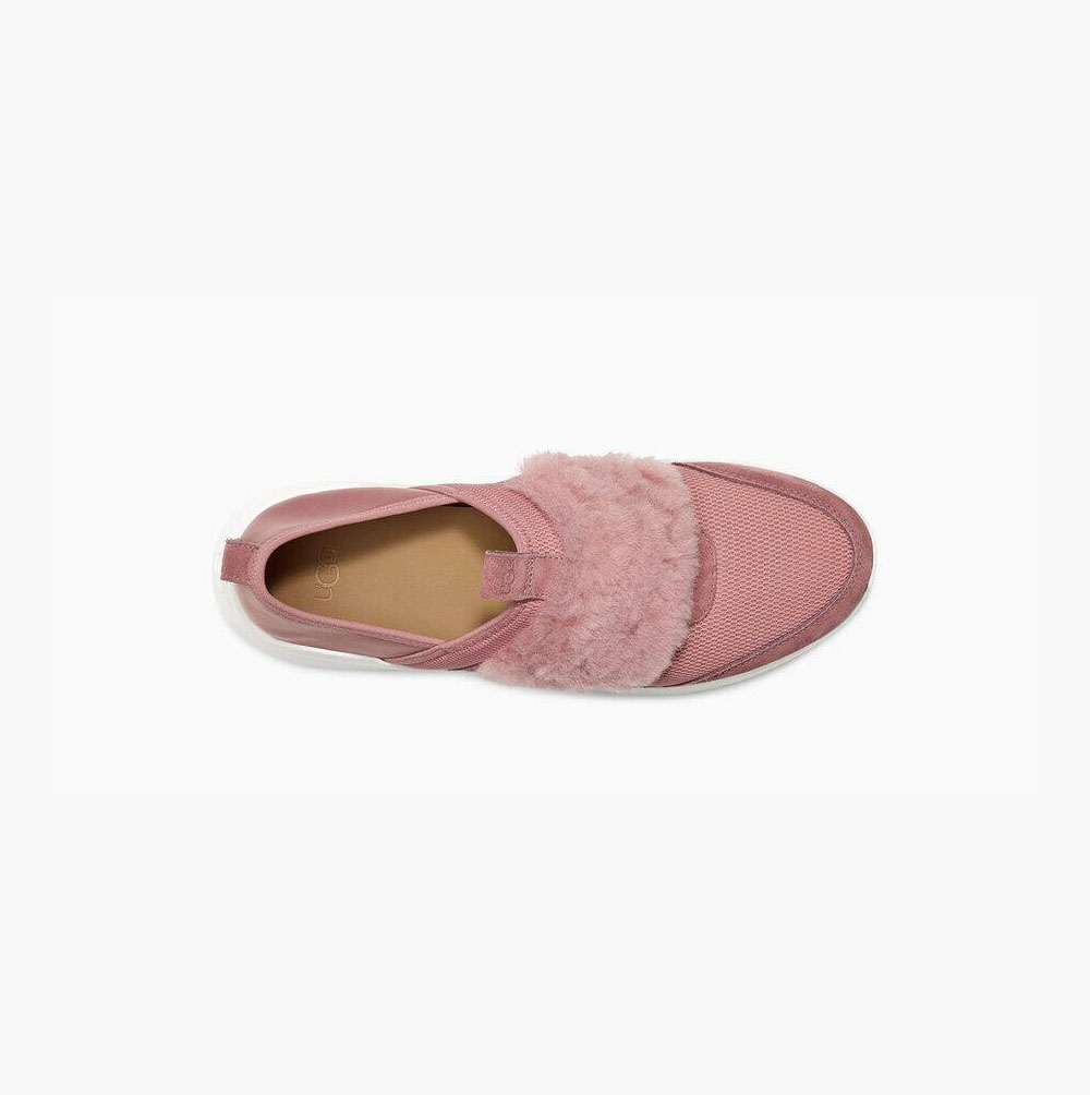 UGG Pico Slip-on-sneakers Damen Rosa Schweiz | Y336XWFO