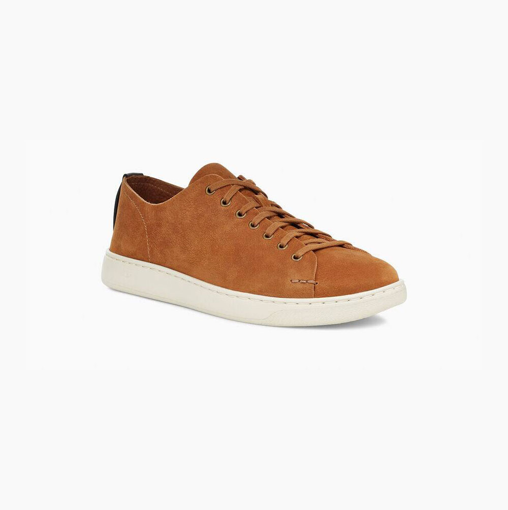 UGG Pismo Low Sneakers Herren Braun Schweiz | ZY14E8DN