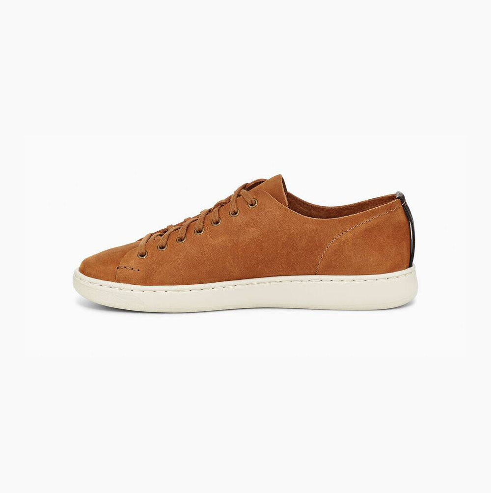 UGG Pismo Low Sneakers Herren Braun Schweiz | ZY14E8DN