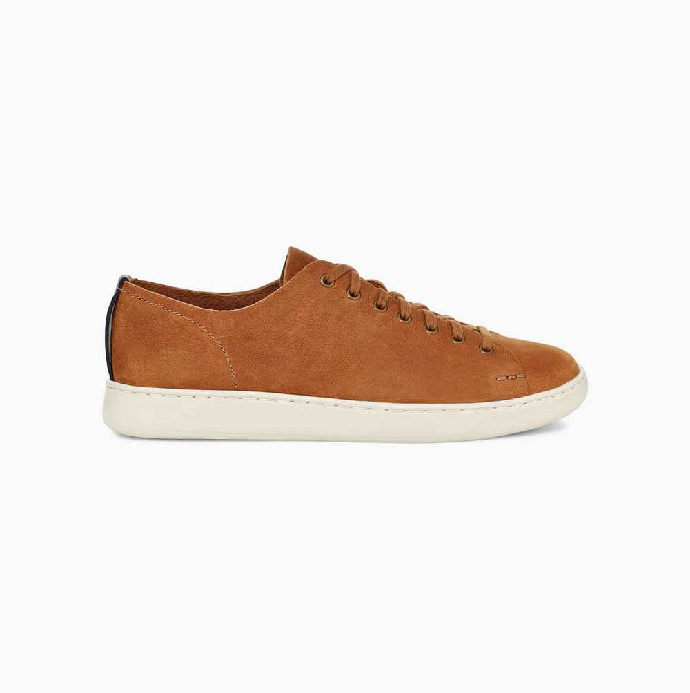 UGG Pismo Low Sneakers Herren Braun Schweiz | ZY14E8DN