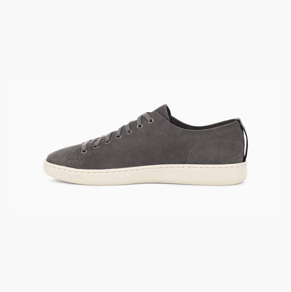 UGG Pismo Low Sneakers Herren Dunkelgrau Schweiz | E3VHHAMJ