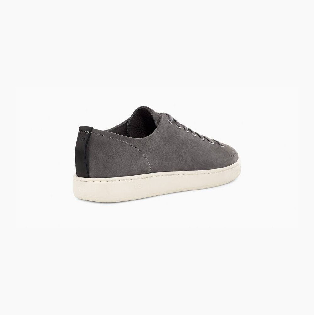 UGG Pismo Low Sneakers Herren Dunkelgrau Schweiz | E3VHHAMJ