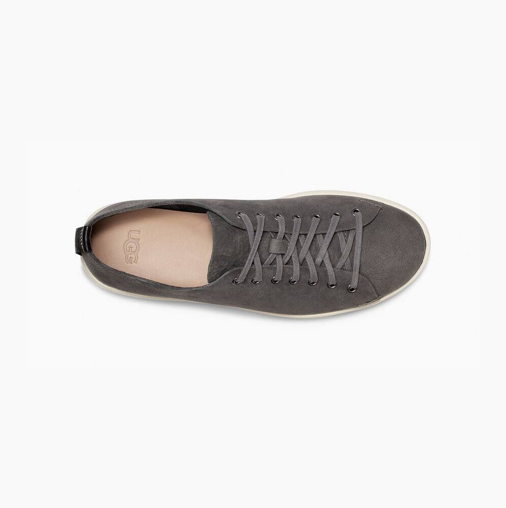 UGG Pismo Low Sneakers Herren Dunkelgrau Schweiz | E3VHHAMJ