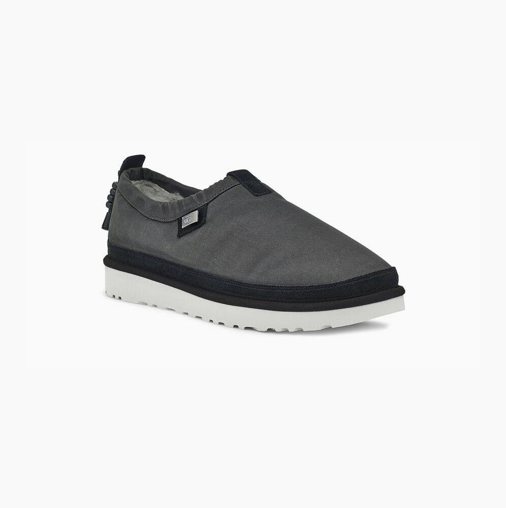 UGG STAMPD Tasman Hausschuhe Herren Schwarz Schweiz | V3ZNI47U