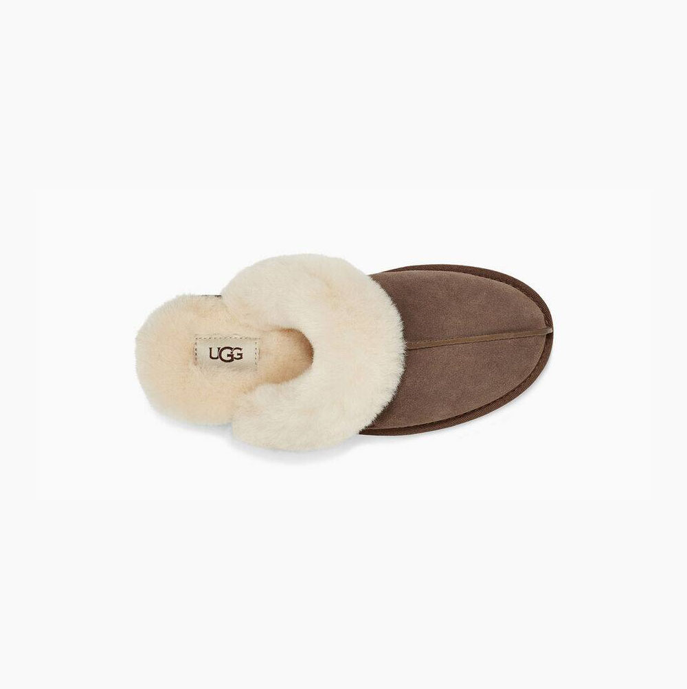 UGG Scuffette II Hausschuhe Damen Braun Schweiz | 7W6L5TTW