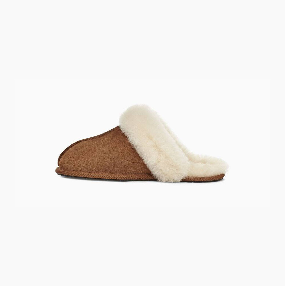 UGG Scuffette II Hausschuhe Damen Braun Schweiz | YVEVXXJP