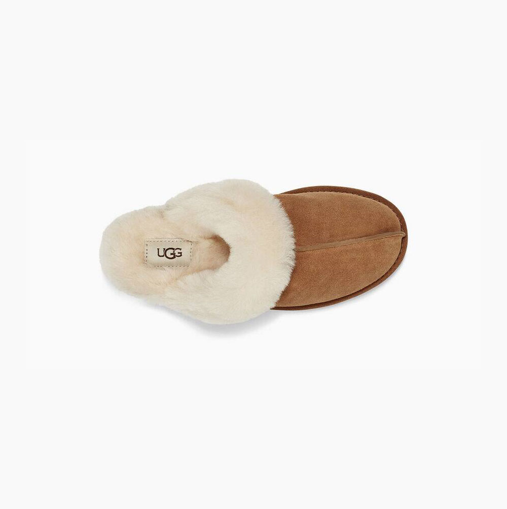 UGG Scuffette II Hausschuhe Damen Braun Schweiz | YVEVXXJP