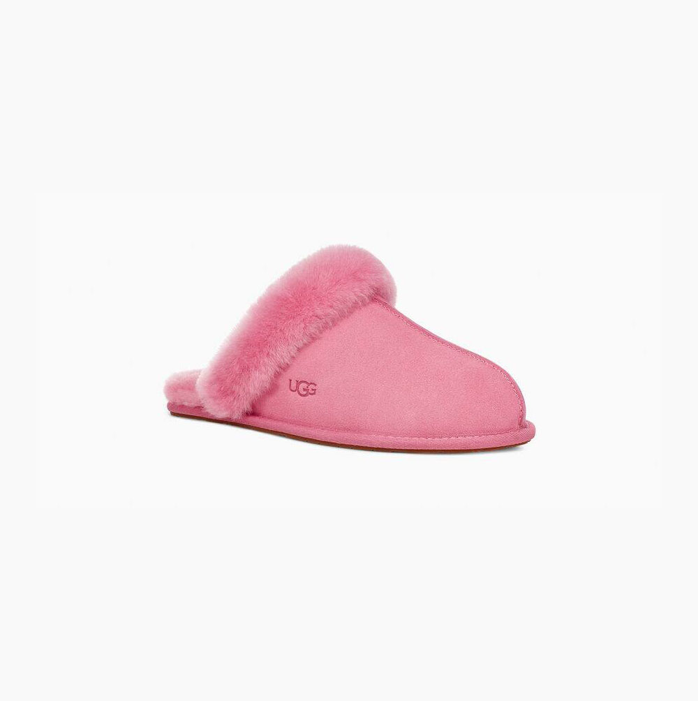 UGG Scuffette II Hausschuhe Damen Rosa Schweiz | SCAGRTTB