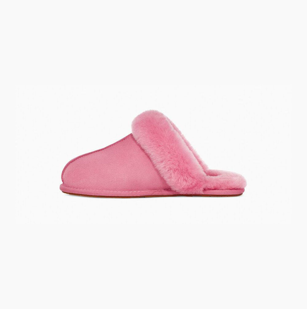 UGG Scuffette II Hausschuhe Damen Rosa Schweiz | SCAGRTTB