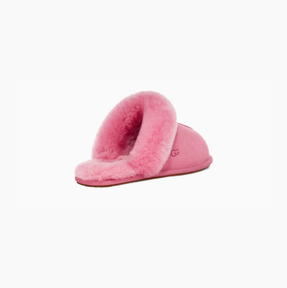 UGG Scuffette II Hausschuhe Damen Rosa Schweiz | SCAGRTTB