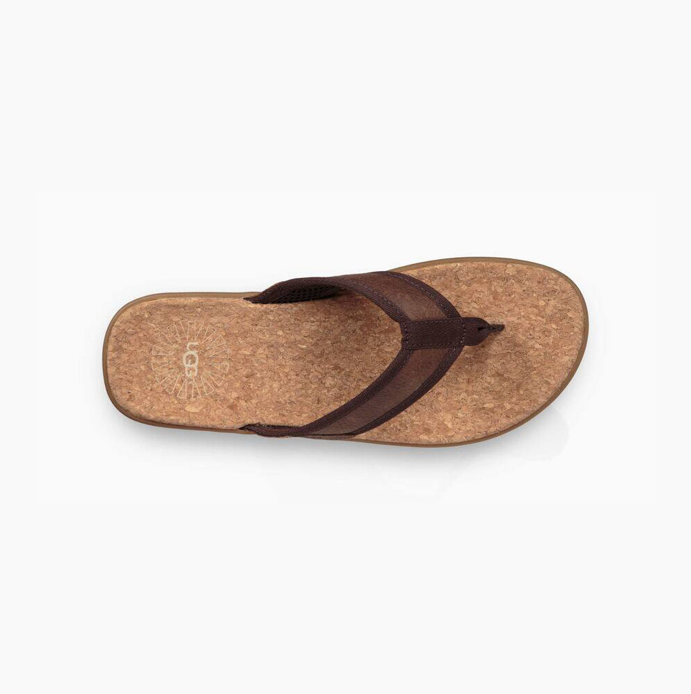 UGG Seaside Flip Flip Flops Herren Braun Schweiz | 88Q9T6N6