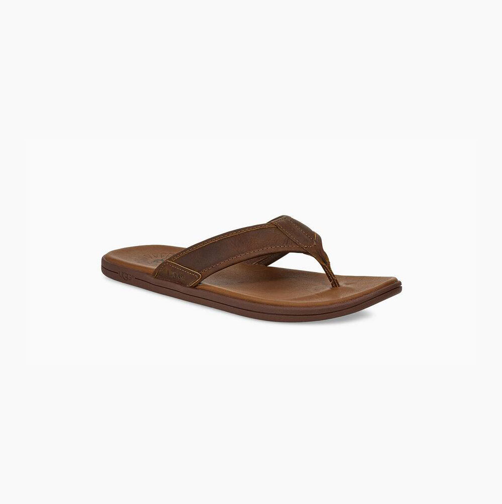 UGG Seaside Flip Flop Flip Flops Herren Braun Schweiz | EO4043H4