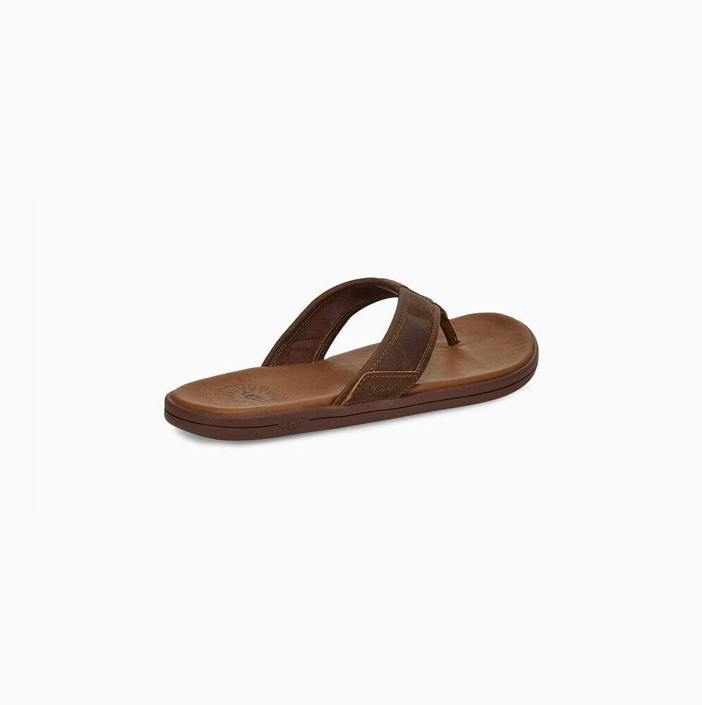 UGG Seaside Flip Flop Flip Flops Herren Braun Schweiz | EO4043H4