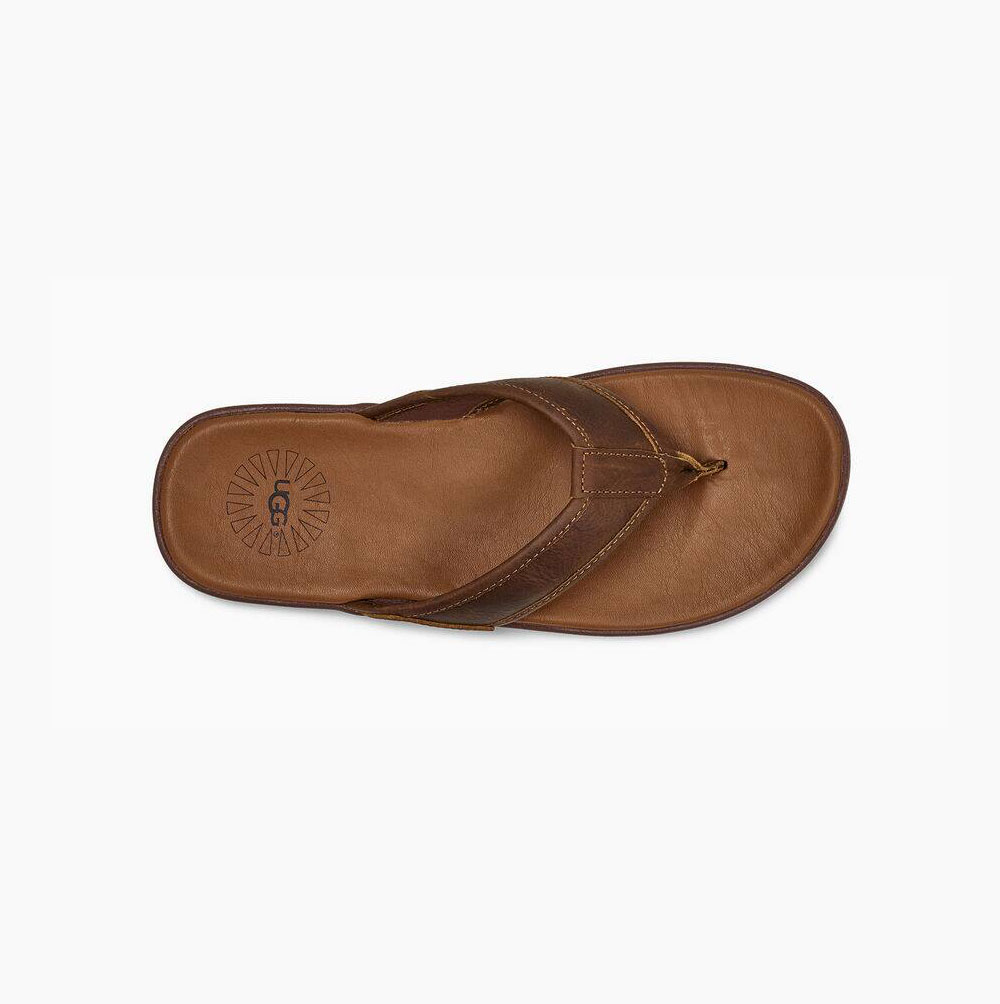 UGG Seaside Flip Flop Flip Flops Herren Braun Schweiz | EO4043H4