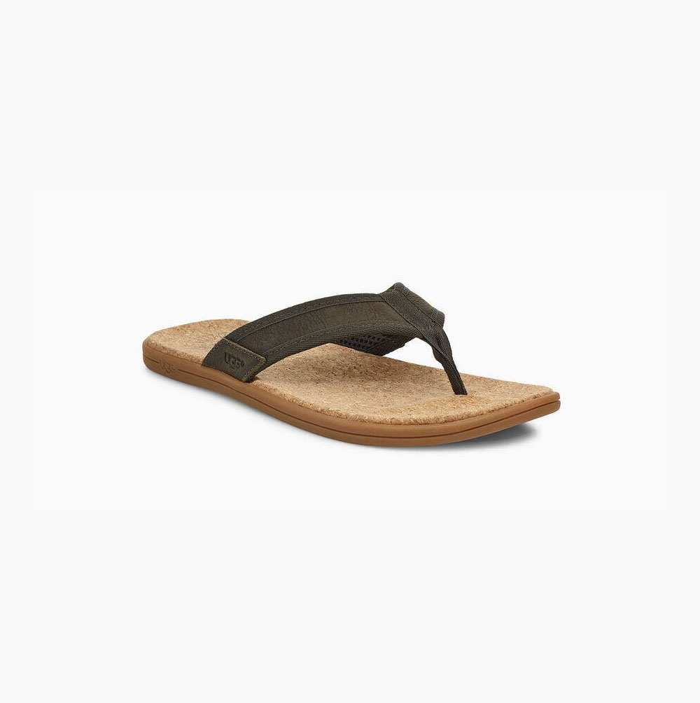 UGG Seaside Flip Flops Herren Grün Schweiz | XMQFADBZ