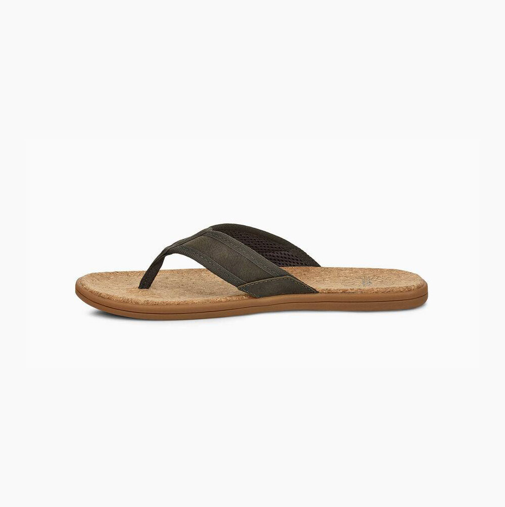 UGG Seaside Flip Flops Herren Grün Schweiz | XMQFADBZ