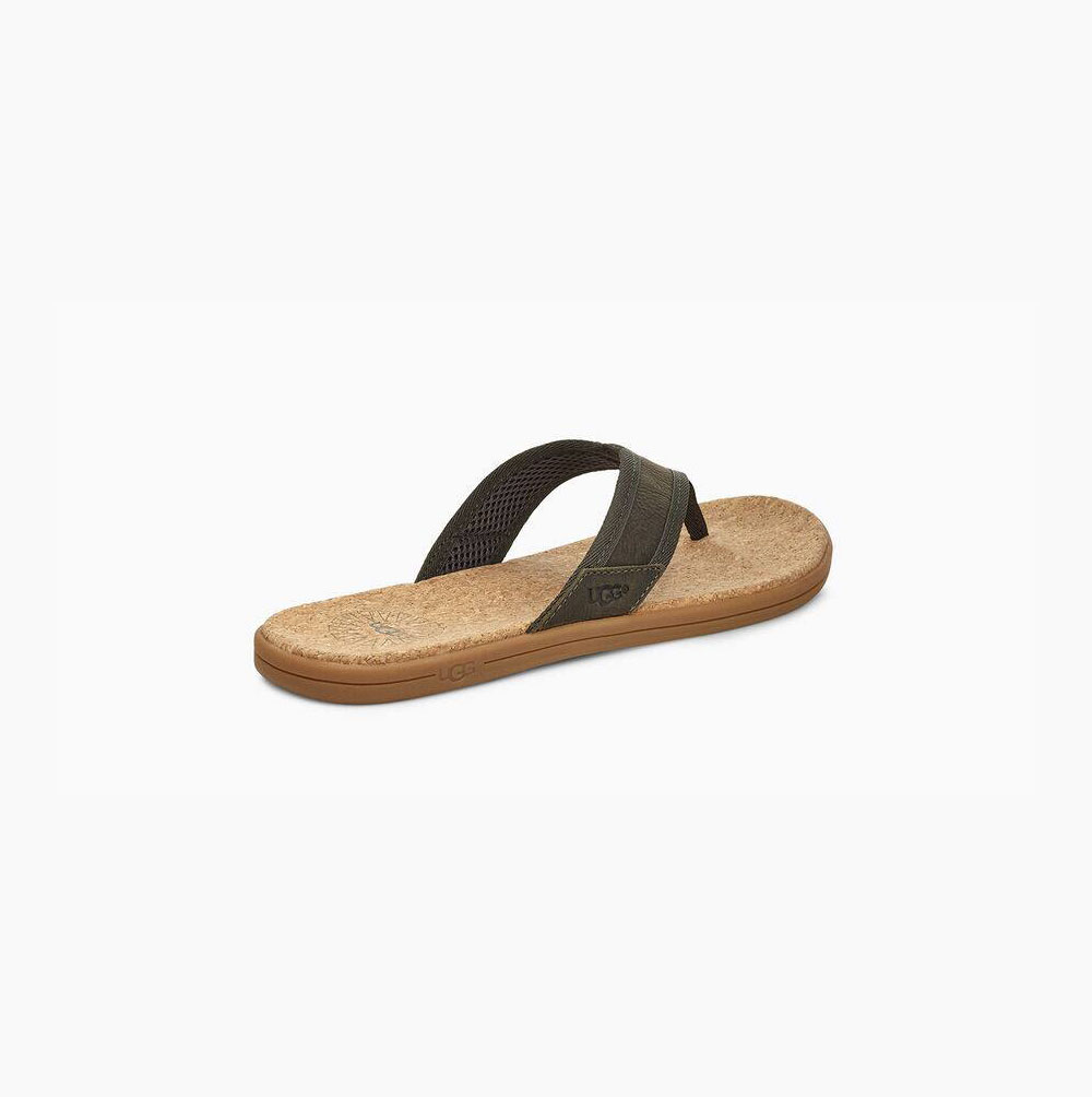 UGG Seaside Flip Flops Herren Grün Schweiz | XMQFADBZ